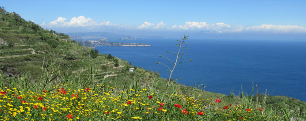 Ischia Trekking 